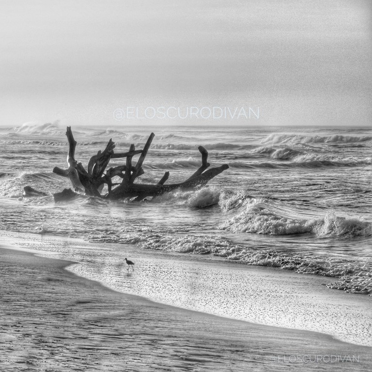 IMG_20181018_221811_920-01